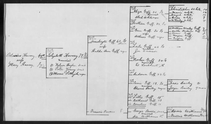 A handwritten family tree chart with names, birth and death dates, and marriages, connecting multiple generations. The left side starts with Octavius Henry and Mary Henry, branching to their descendants and extended relatives.