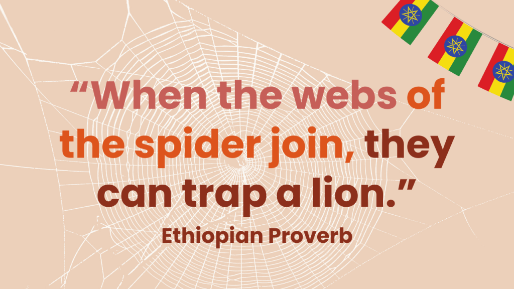 An Ethiopian Proverb, 'When the webs of the spider join, they can trap a lion.' The background of this graphic is light pink with a white spider web. In the top right corner are 3 Ethiopian flags.